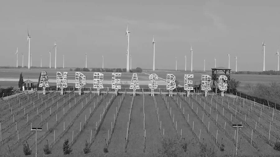 Large letters with the inscription ANDREASBERG stand in a vineyard with wind turbines in the background.