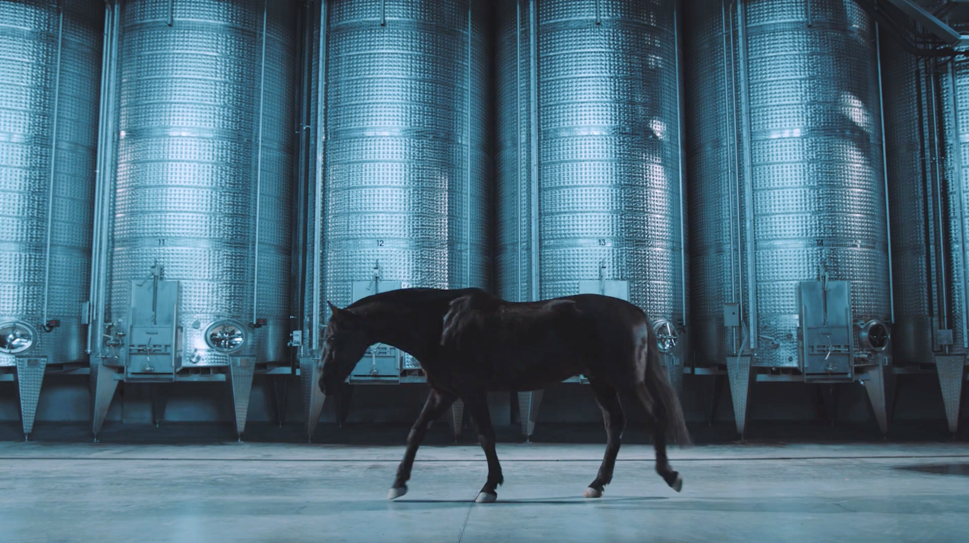Ein dunkles Pferd läuft vor großen, metallischen Industrietanks.