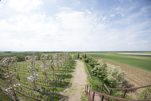 Holzkonstruktionen auf einer grünen Wiese neben einem Feldweg unter bewölktem blauem Himmel auf dem Lande.