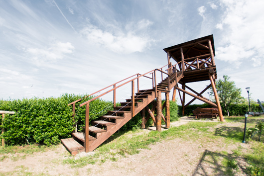 Hölzerner Aussichtsturm mit Treppe, umgeben von Grün unter einem teilweise bewölkten Himmel.