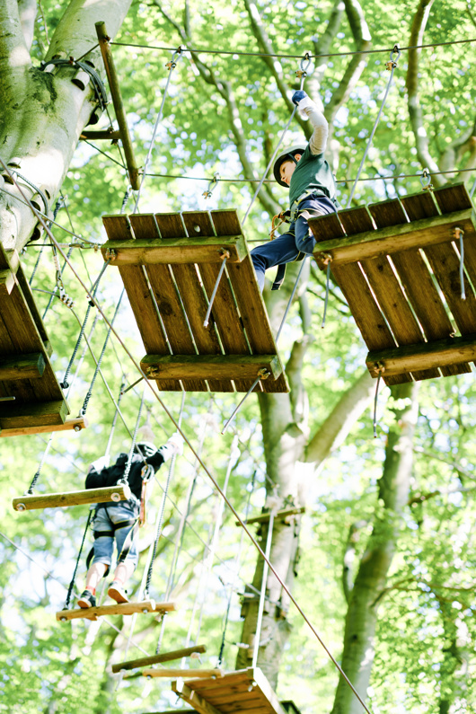 Zwei Personen mit Helmen navigieren an einem sonnigen Tag in einem Hochseilgarten zwischen hohen Bäumen.